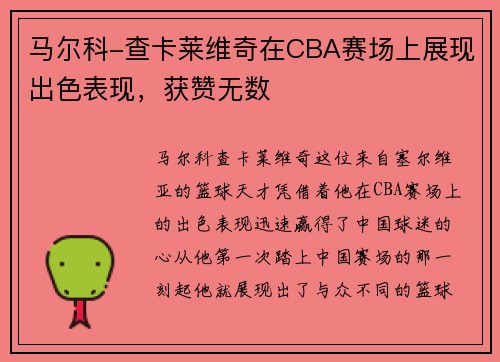 马尔科-查卡莱维奇在CBA赛场上展现出色表现，获赞无数