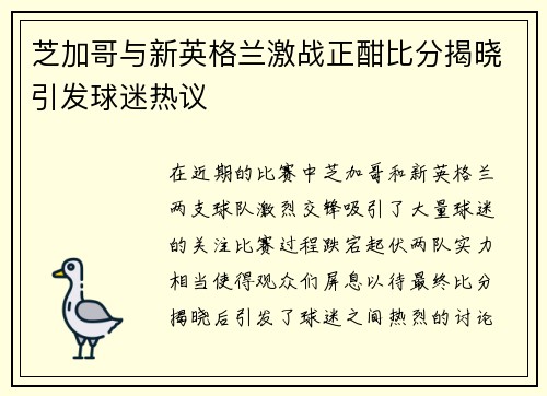 芝加哥与新英格兰激战正酣比分揭晓引发球迷热议