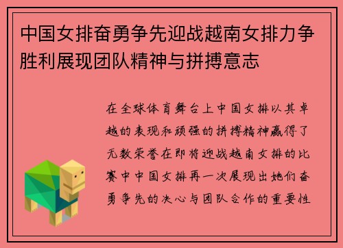 中国女排奋勇争先迎战越南女排力争胜利展现团队精神与拼搏意志